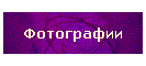 Фотографии